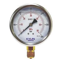 KWI P180-100-L-S-04-NA-600BR&60MP (100 мм, 0-600 бар, 12)
