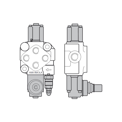 распределитель ami 21r p1d(160) ab1 c1 h56 r4(150)